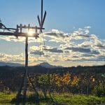 Zbiranje vlog oškodovancev, ki so utrpeli škodo na pridelkih zaradi posledice SUŠE v letu 2025