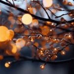 Prižig lučk - Božičkov nabiralnik - Odprtje razstave jaslic