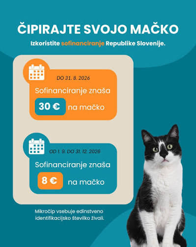 Čipiranje mačk